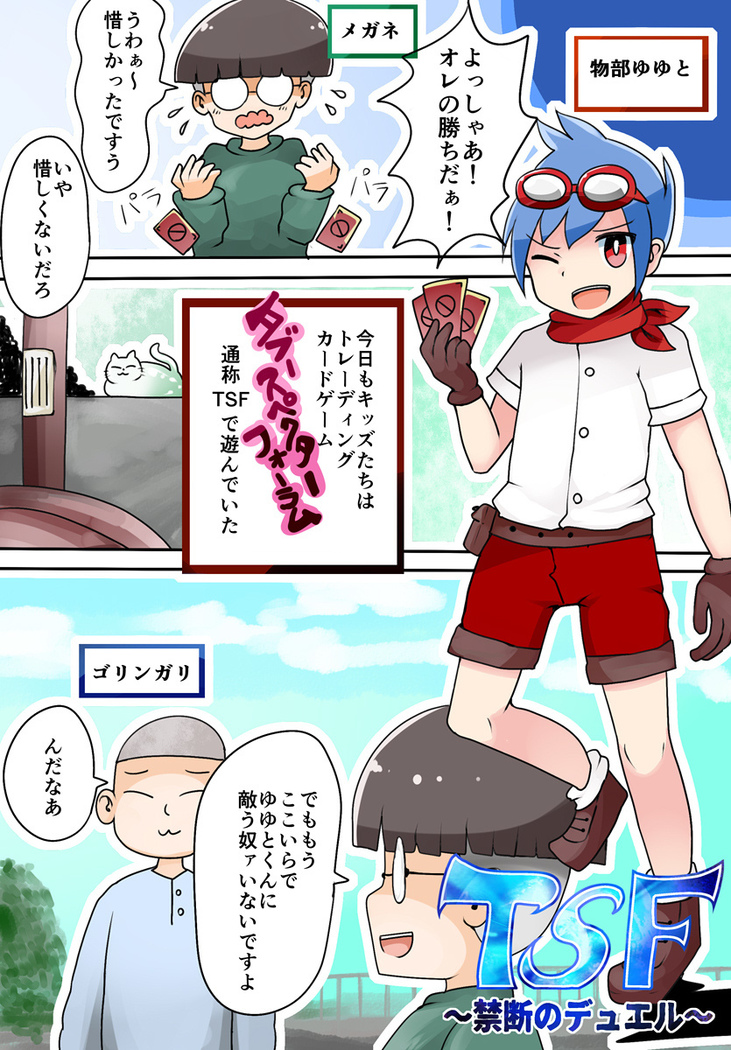 TSF ~Forbidden Duel~