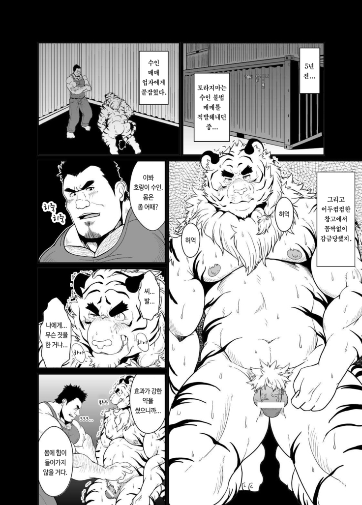 Toradorei -KEMONO Company 2- | 호랑이 노예 -KEMONO 컴퍼니 2-   .