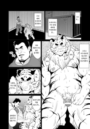 Toradorei -KEMONO Company 2- | 호랑이 노예 -KEMONO 컴퍼니 2-   .