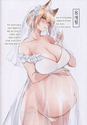 JUNE BRIDE Maternity Photo Book Page #13