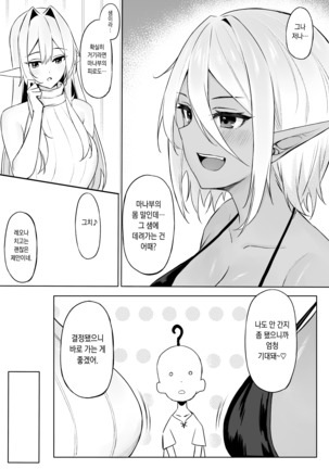 Isekai Shoukan III Elf na Onee-sanTachi Ha Suki desuka? - Page 16