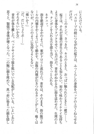 後夜祭 君をイジめたい Page #34