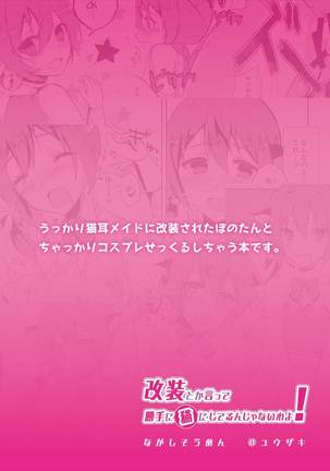 改装とか言って勝手に猫にしてるんじゃないわよ！ 艦隊これくしょん-艦これ- Page #18