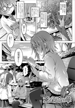 Ougon no Sonata XXX Sono Shi Page #84