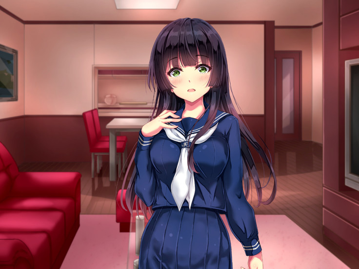 Seifuku Osanazuma no Netorare Jijou