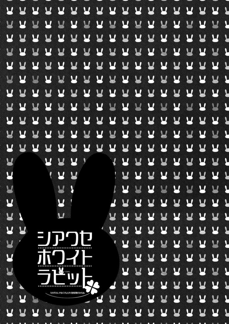 Shiawase White Rabbit