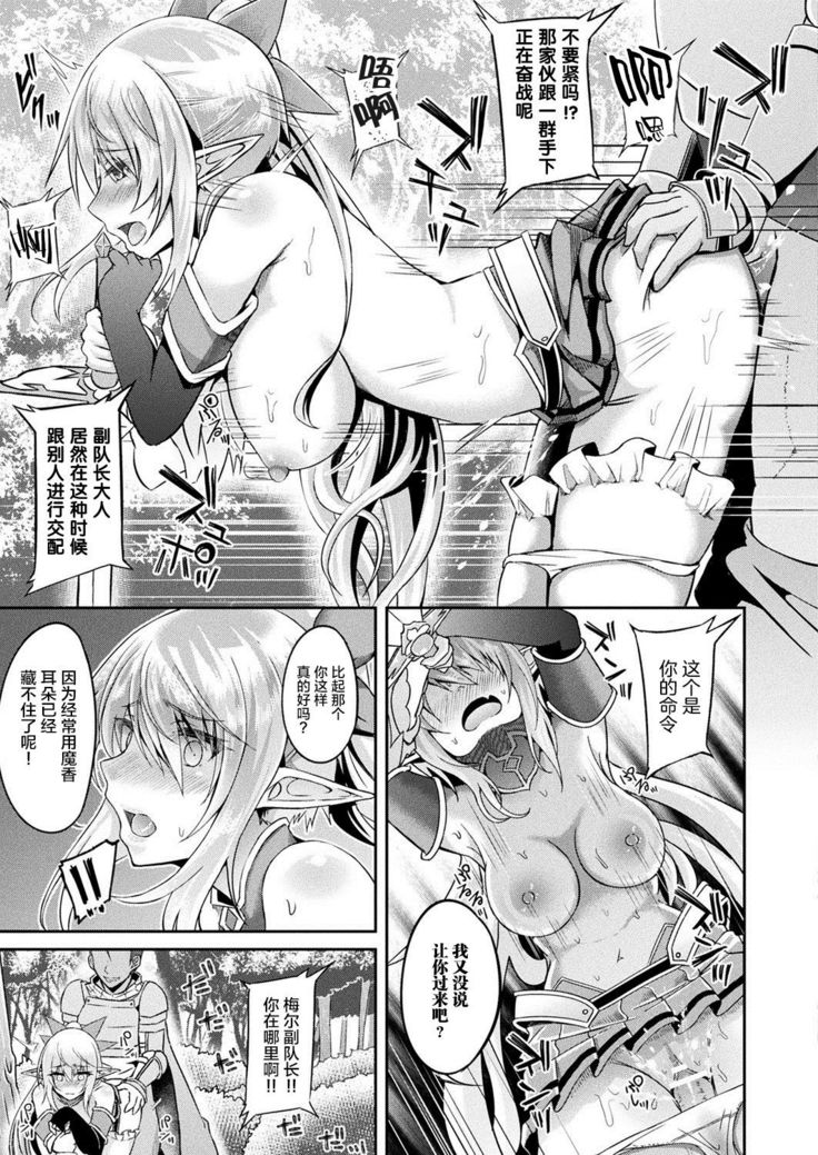 NTR隷属エルフ騎士メル 前編
