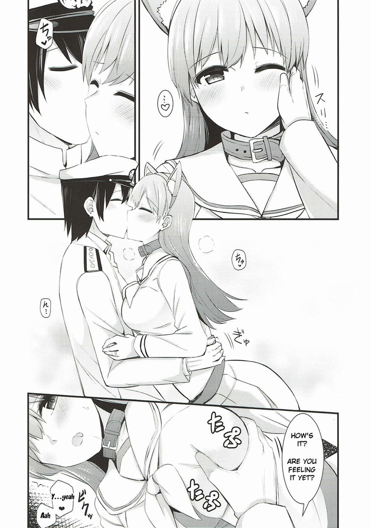 Ooi! Nekomimi o Tsukeyou! |  Ooi! Put On These Cat Ears!