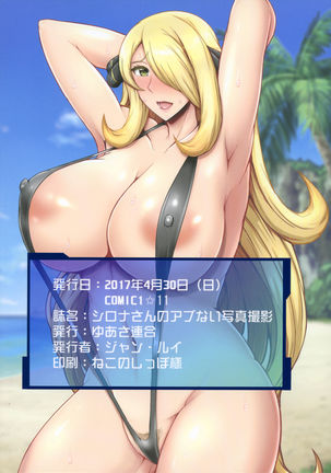 アローラ!シロナさんのアブない水着撮影 Page #18