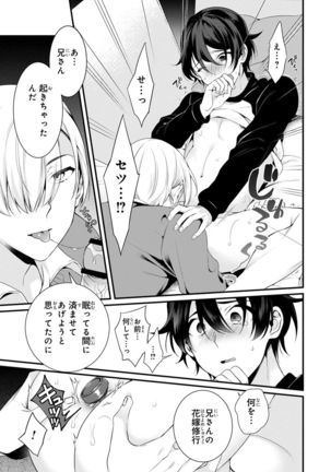 Ani o Yome ni Metorimasu ～ Kondo wa Tebanasanai ～ R18 Edition Vol. 1-4 - Page 24