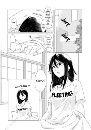 Image 12733201