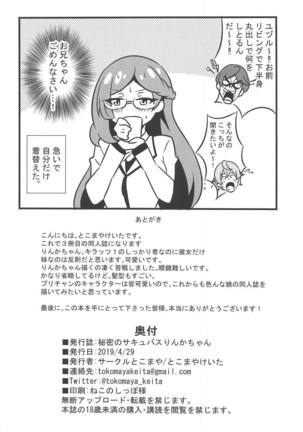 Himitsu no Succubus Rinka-chan Page #17