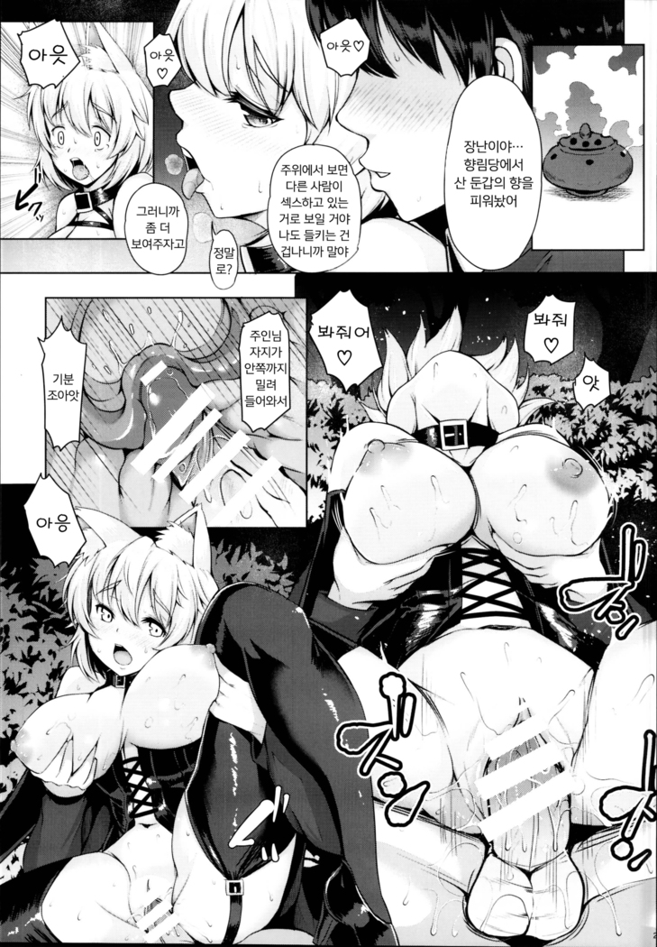 Momiji-chan to Goshujin-sama -Tanoshii Sanpo Hen- | 모미지 짱과 주인님 -즐거운 산책 편-