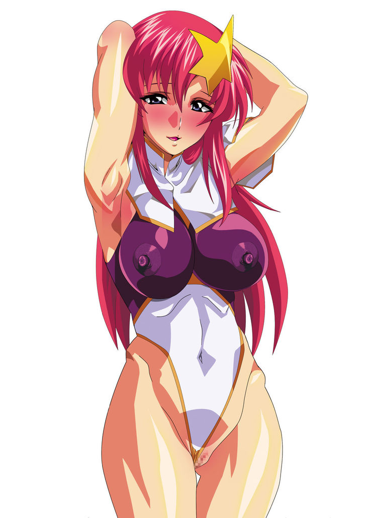 Dare ga Nanto Iouto Gundam SEED DESTINY ga Suki!