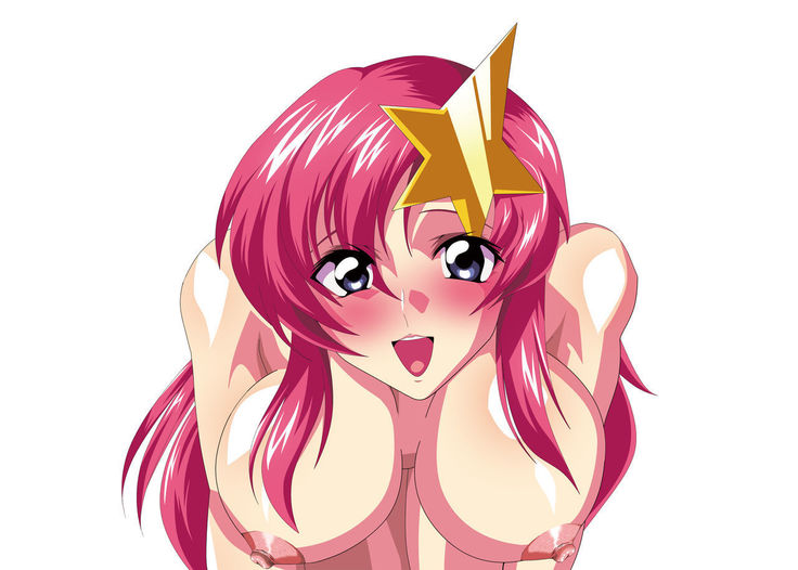 Dare ga Nanto Iouto Gundam SEED DESTINY ga Suki!