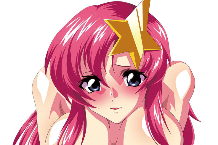 Dare ga Nanto Iouto Gundam SEED DESTINY ga Suki!