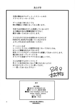 Arashi no Bouken Page #29