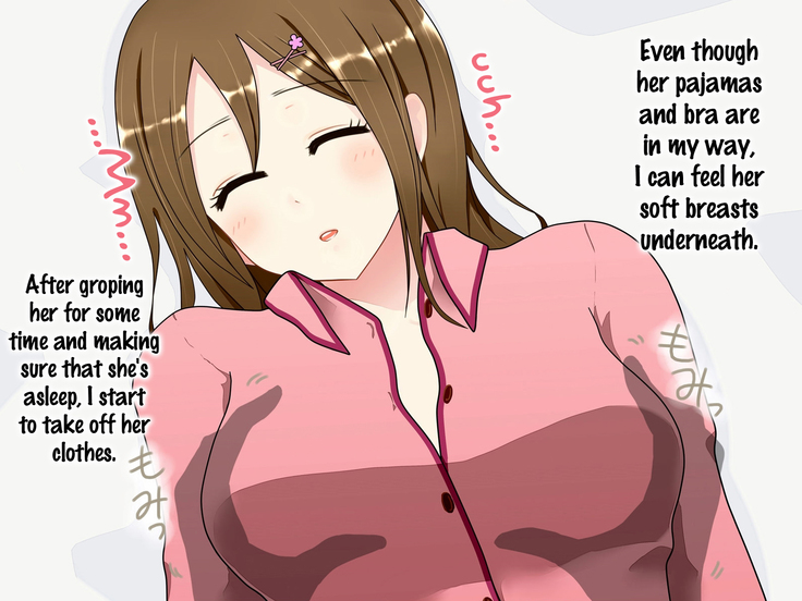 Imouto o Suiminyaku de Nemurasete Okashite mita