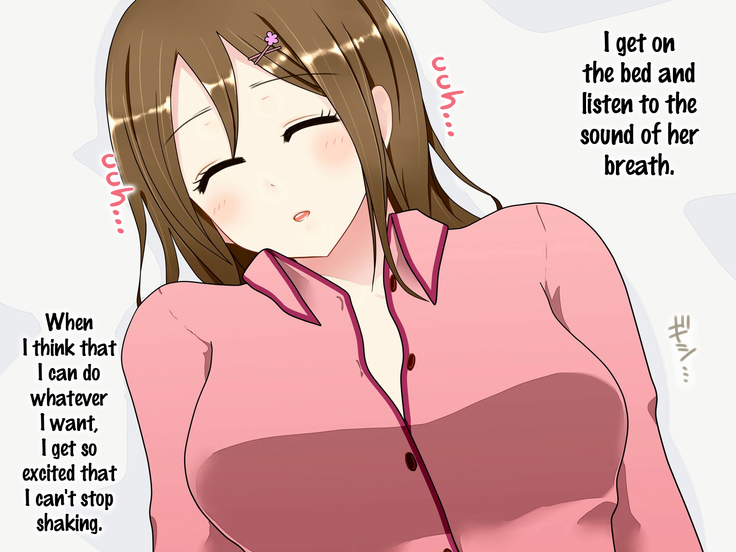 Imouto o Suiminyaku de Nemurasete Okashite mita