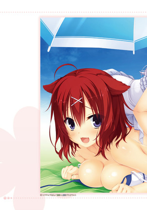 AMAIRO ISLENAUTS OFFICIAL VISUAL FAN BOOK - Page 24