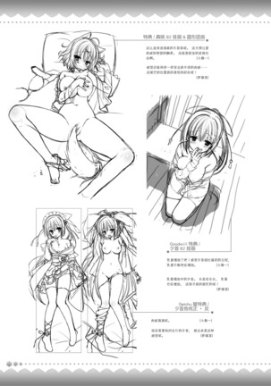 AMAIRO ISLENAUTS OFFICIAL VISUAL FAN BOOK - Page 304