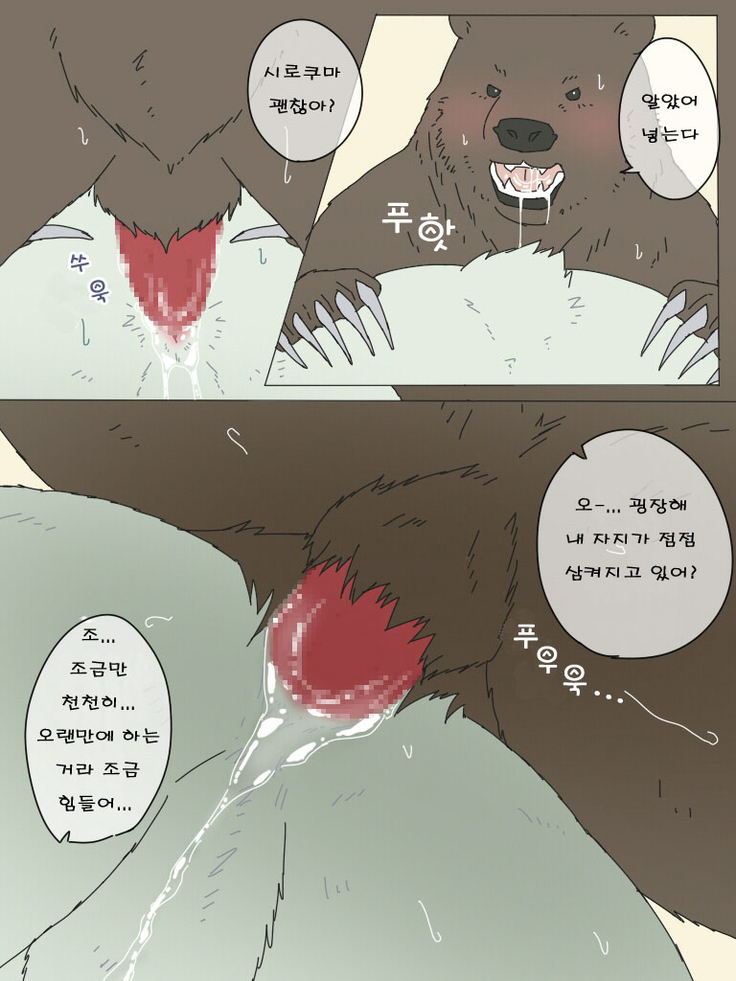 Shirokuma-san to Haiiroguma-san ga Ecchi suru dake | 시로쿠마 씨와 그리즐리 씨가 섹스한 것 뿐