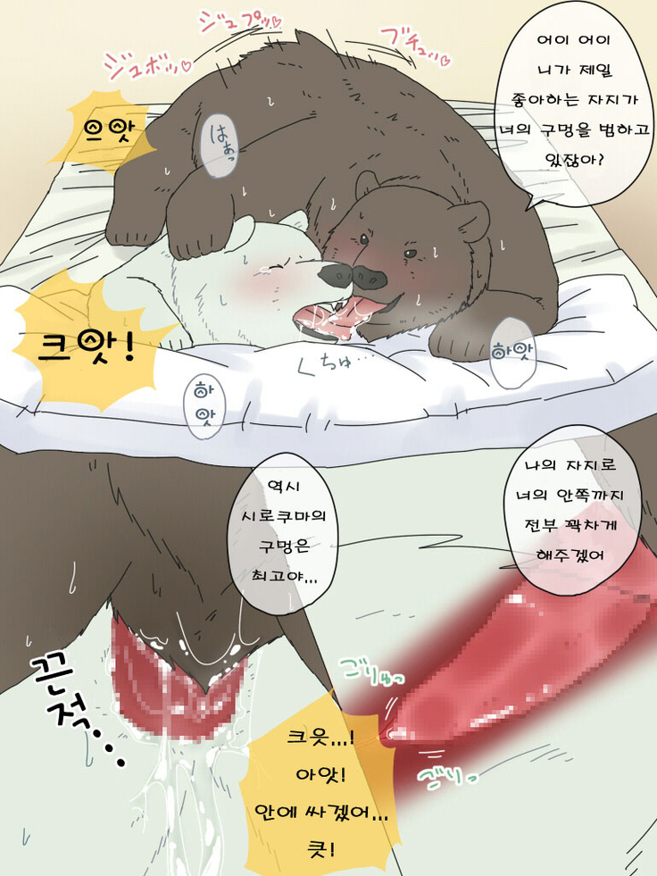 Shirokuma-san to Haiiroguma-san ga Ecchi suru dake | 시로쿠마 씨와 그리즐리 씨가 섹스한 것 뿐