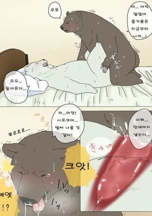 Shirokuma-san to Haiiroguma-san ga Ecchi suru dake | 시로쿠마 씨와 그리즐리 씨가 섹스한 것 뿐 Page #13