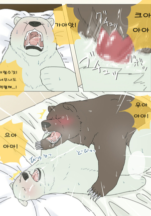 Shirokuma-san to Haiiroguma-san ga Ecchi suru dake | 시로쿠마 씨와 그리즐리 씨가 섹스한 것 뿐 Page #14