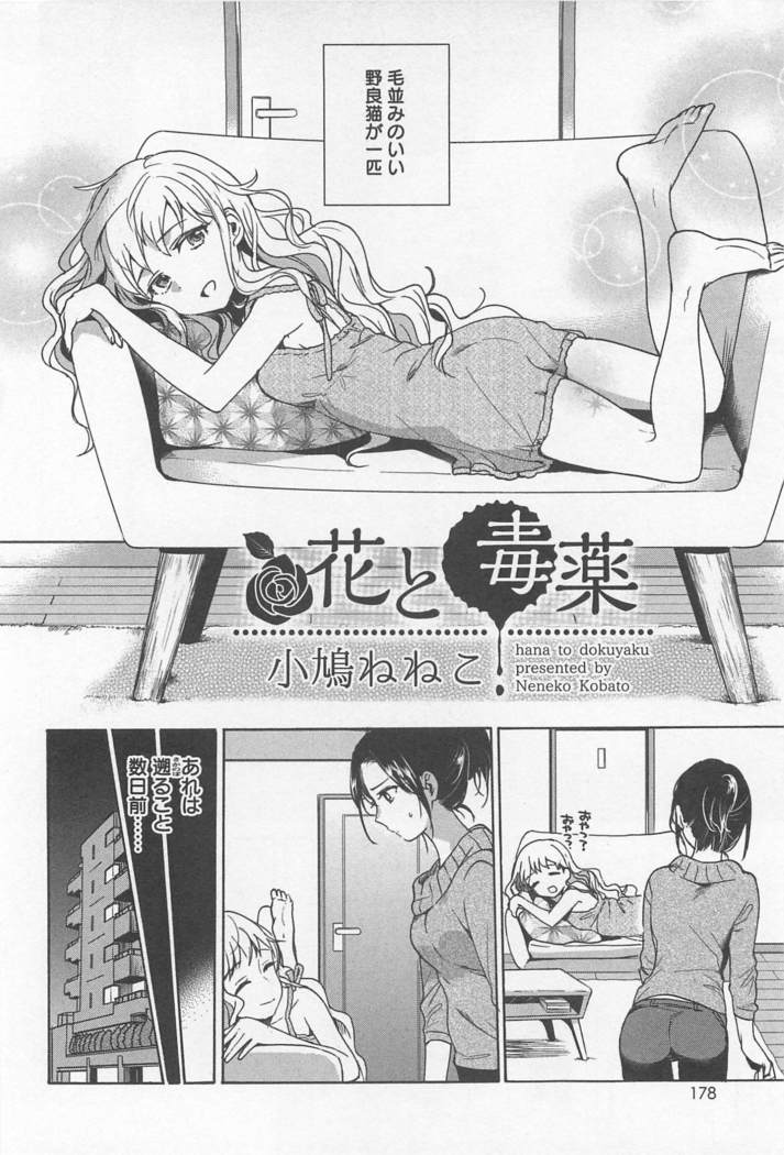Mebae Vol. 1 - Vivid Girls Love