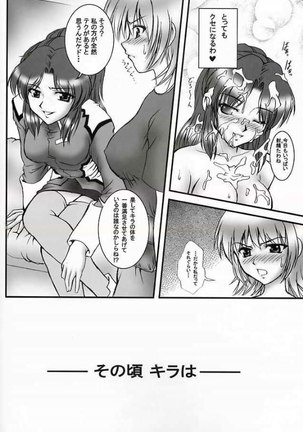 Gundam Seed - Gohoushi Club 3 - Page 13