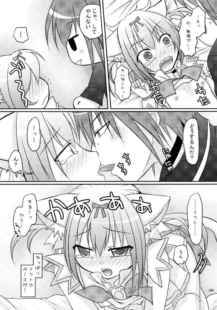 Shugo Shugo! Soushuuhen