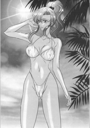 (C56) [ENERGYA (Roshiya No Dassouhei)] COLLECTION OF -SAILORMOON- ILLUSTRATIONS FOR ADULT Vol.4 (Bishoujo Senshi Sailor Moon)