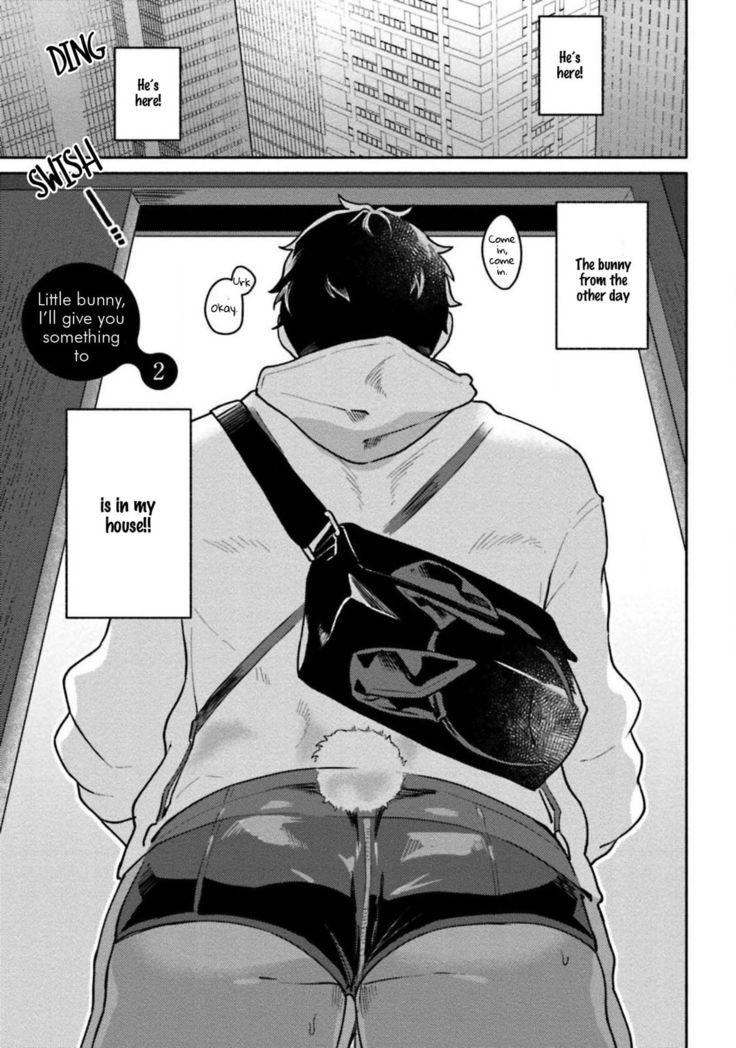 Usagi-chan, Doshikori Moushiagemasu