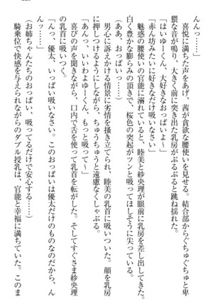 弟の赤ちゃんが欲しくない姉なんていません！ Page #235