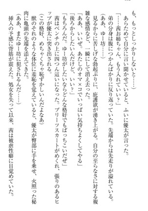 弟の赤ちゃんが欲しくない姉なんていません！ Page #162