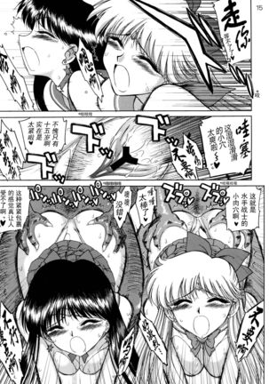[BLACK DOG (Kuroinu Juu)] Sex Pistols+ (Bishoujo Senshi Sailor Moon) [Chinese] [2005-04-20] | 美少女战士 双星奸落  [退魔大叔情怀精译] Page #17