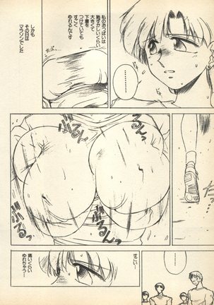Shin Bishoujo Shoukougun 3 Yamato hen Page #187