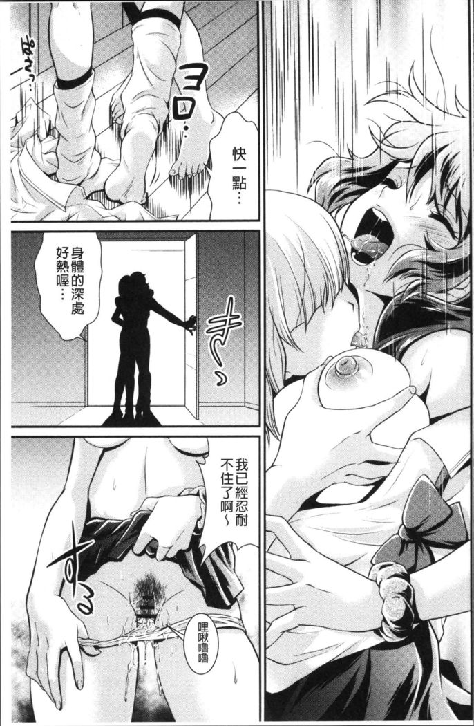 Mesu ga Mezameru Toki