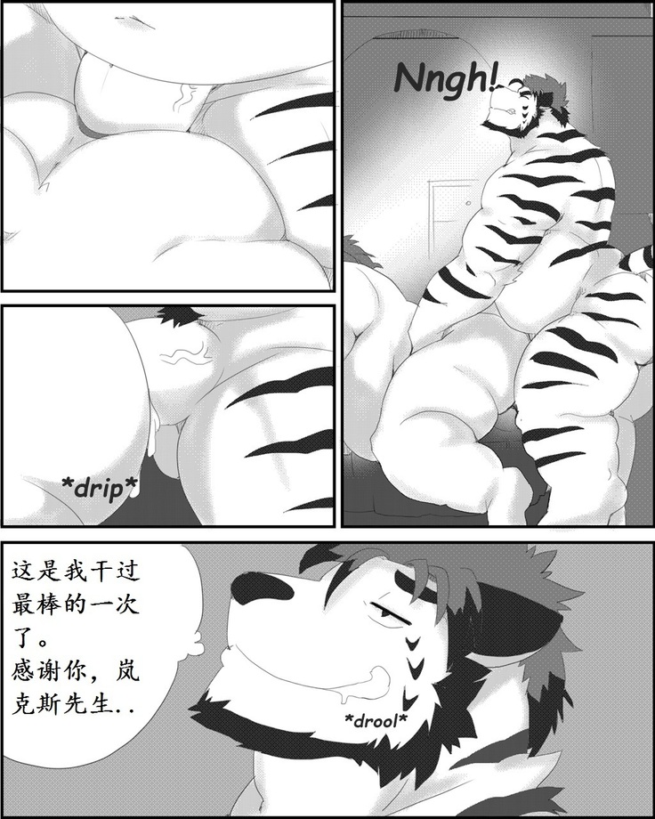 Lanxus 3 岚克斯3 strangewolf translation