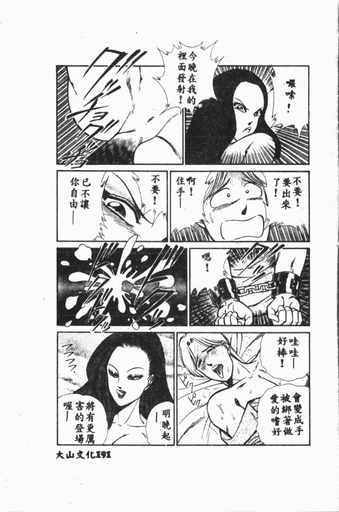 Comic Aishiteru Vol.33