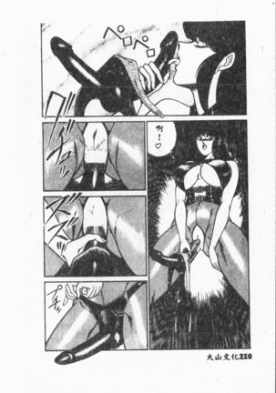 Comic Aishiteru Vol.33 Page #211