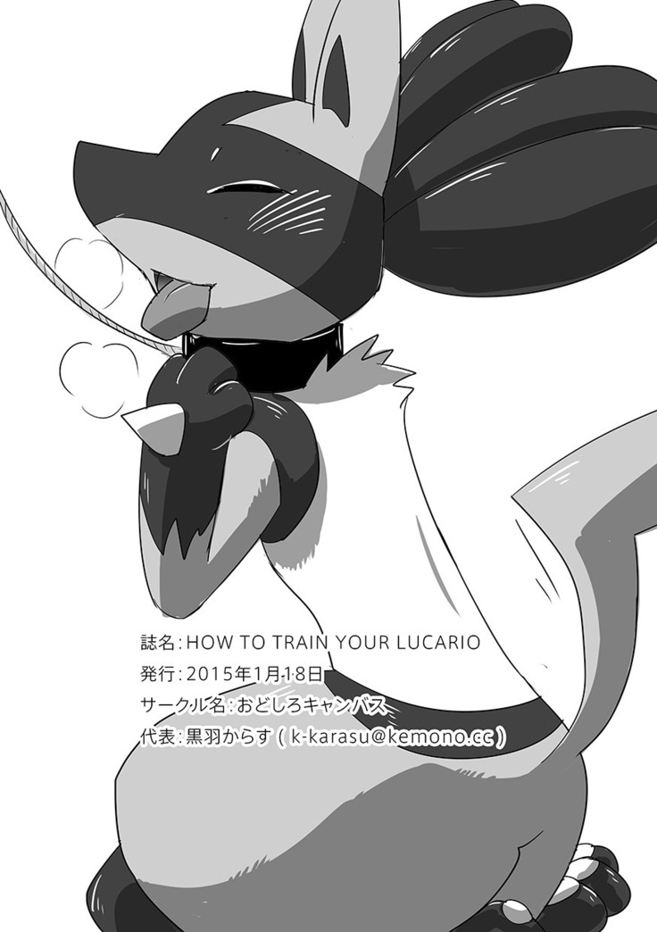 Lucario Training Book「How to Train Your~」