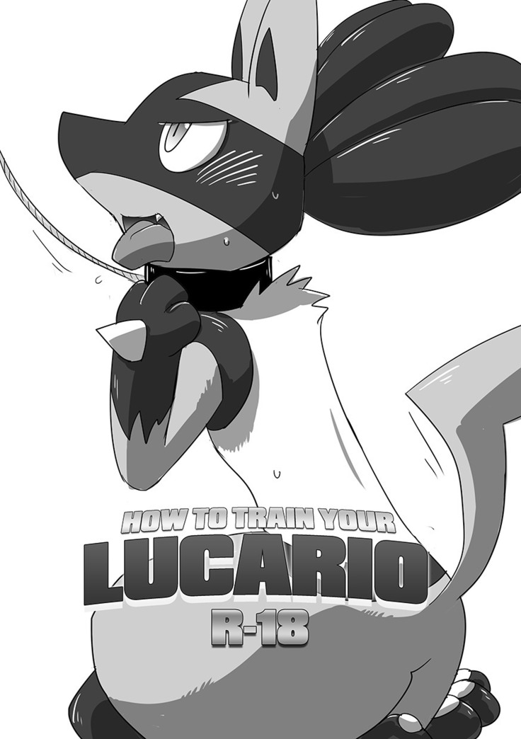 Lucario Training Book「How to Train Your~」