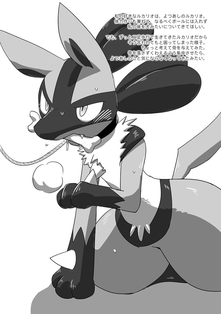 Lucario Training Book「How to Train Your~」