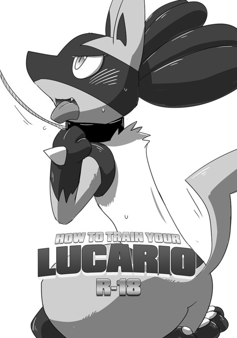 Lucario Training Book「How to Train Your~」