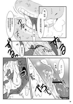 Tatsumi - Ryuu to Hebi ga Karamu Toki | 龙与蛇纠缠之时 Page #33