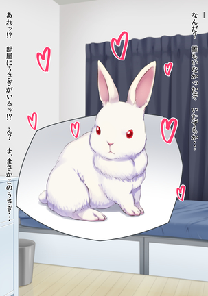 Hatsujou Usagi ga Yatte Kuru Page #85