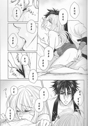 Hime ken ryoran Page #17