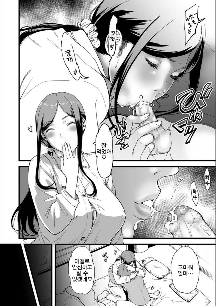 AV Joyuu no Kaa-san to Hikikomori no Boku ga Sex Suru You ni Natta Wake